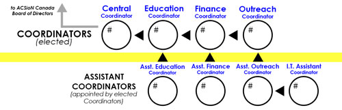 ACSioN-Concordia organizational chart